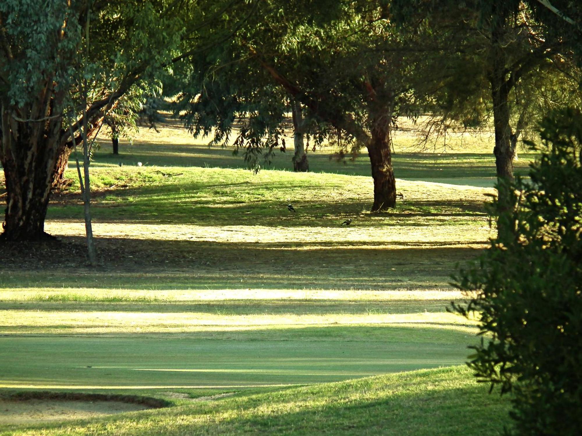 Cobram Barooga Golf Resort Zimmer foto